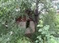 Thumbnail image for /_Data/Drazby/Obrazky/DR00083914/Velke/DR00083914~wkv6n_9.jpg
