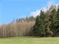 Thumbnail image for /_Data/Drazby/Obrazky/DR00083933/Velke/DR00083933~gweyk_5.jpg