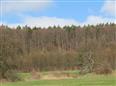Thumbnail image for /_Data/Drazby/Obrazky/DR00083933/Velke/DR00083933~jg3gm_2.jpg