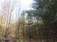 Thumbnail image for /_Data/Drazby/Obrazky/DR00083933/Velke/DR00083933~l1b70_4.jpg