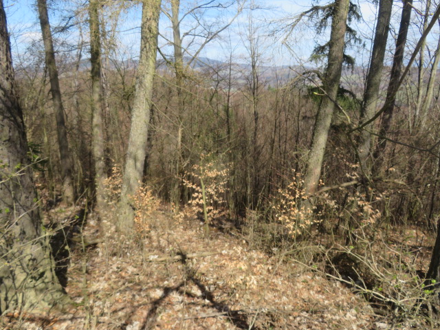 dražba pozemků - podíl 1/2 v k.ú. Horní Studénky, okres Šumperk